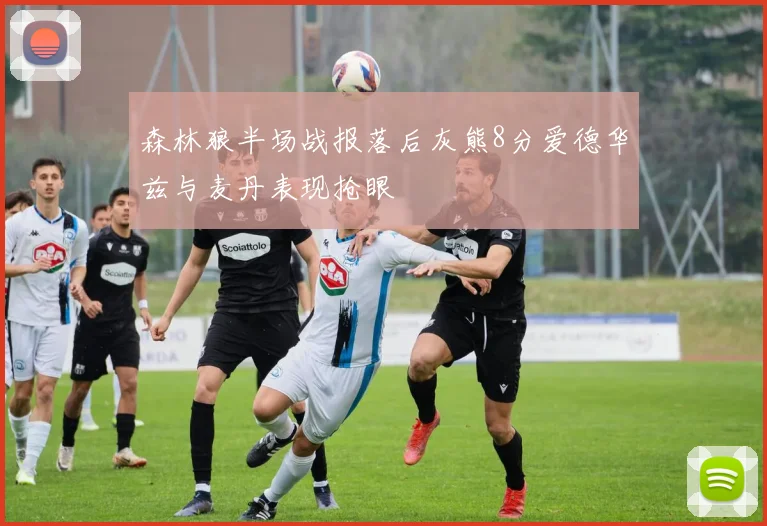 森林狼半场战报落后灰熊8分爱德华兹与麦丹表现抢眼